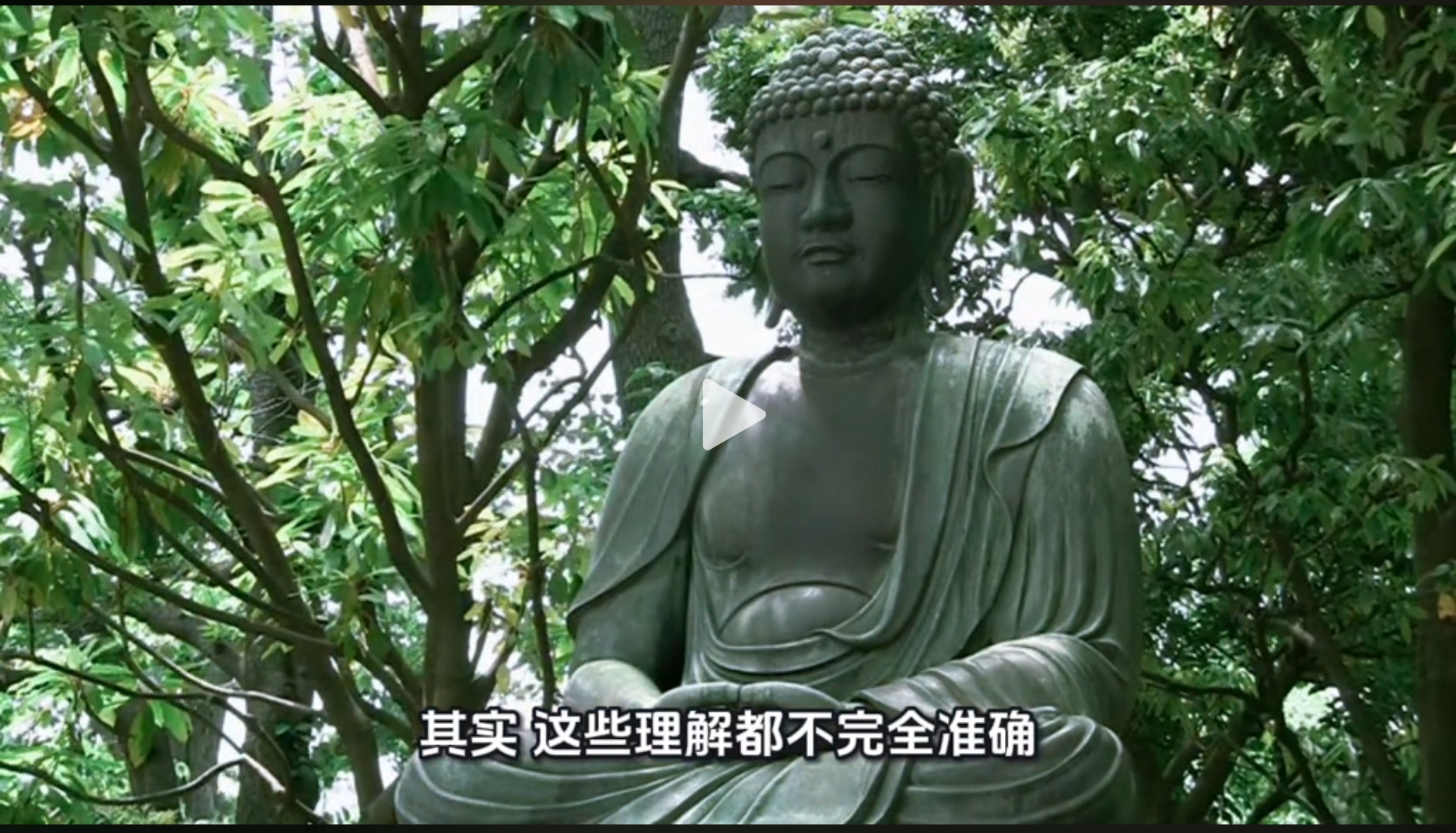 大家希望修哪些经书？